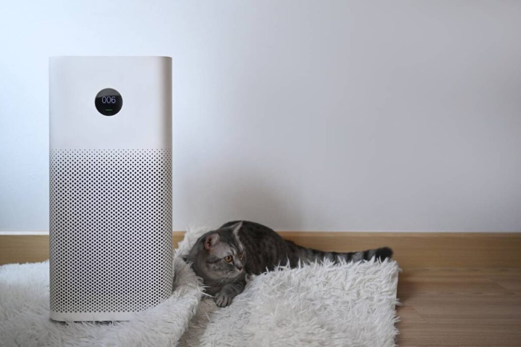 White Air purifier with digital monitor screen and cute cat on wooden floor in living room. Air Pollution Concept.