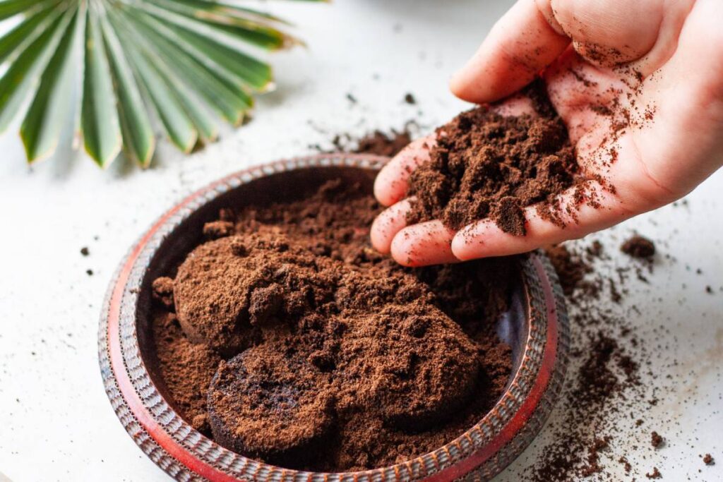 Woman's hand crumbles coffee grounds into wooden bowl. Coffee grounds used as a body scrub or fertilizer for plants.