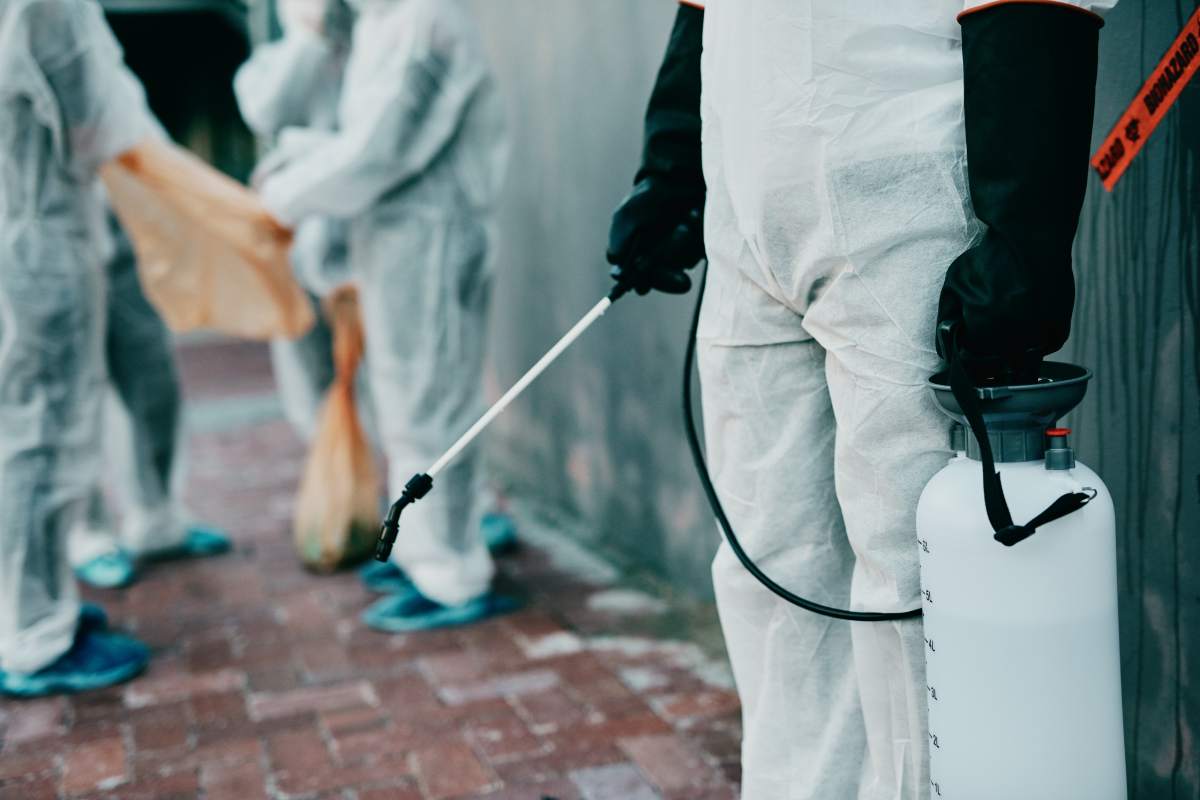 Residential vs. Commercial Pest Control: What’s the Differences?