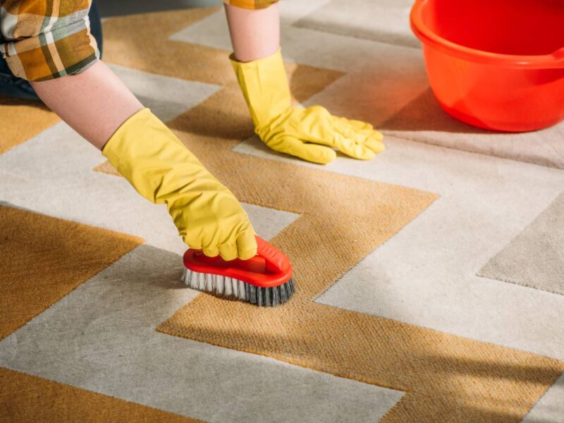 What are some of the most common carpets that need cleaning? How do you clean a carpet with pet hair?